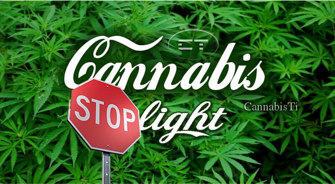 ​  La vendita di cannabis light diventa illecita? Contrasto interpretativo in Corte di Cassazione. 