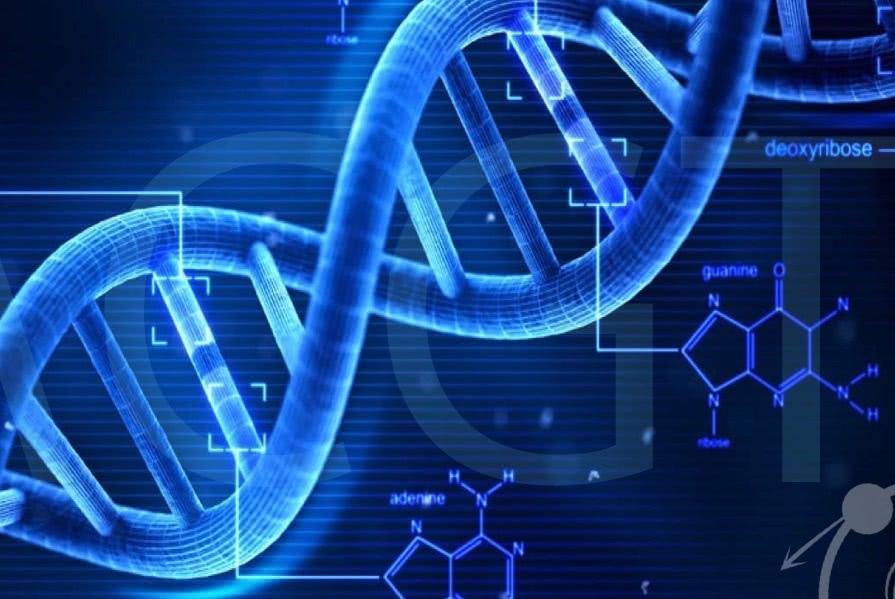 La prova regina del dna. Alcune problematiche connesse alla sua formazione