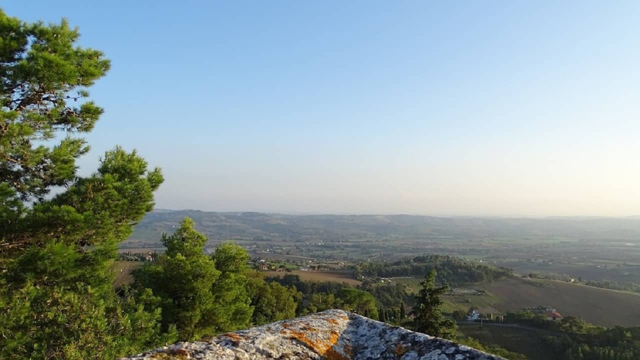 Marche. La giurisdizione marchigiana e l’emergenza epidemiologica