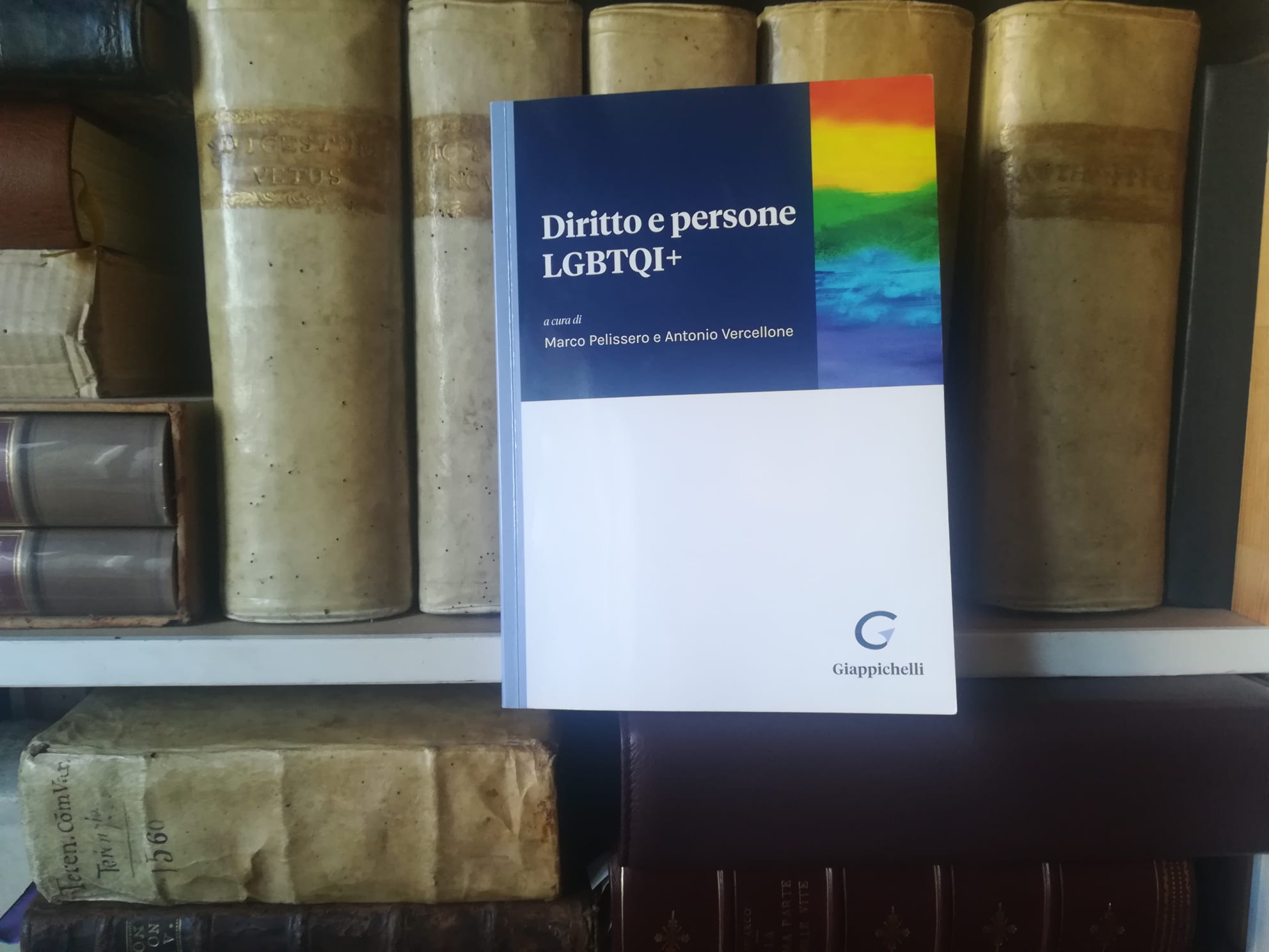 Diritto e persone lgbtqi+, una lettura proposta di Pierpaolo Gori​[1]