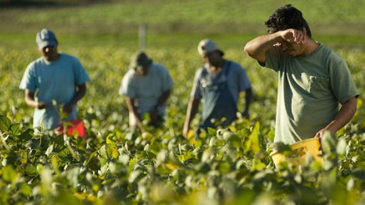 Brevi riflessioni sul contenzioso previdenziale ed assistenziale al Sud di Lilli Arbore