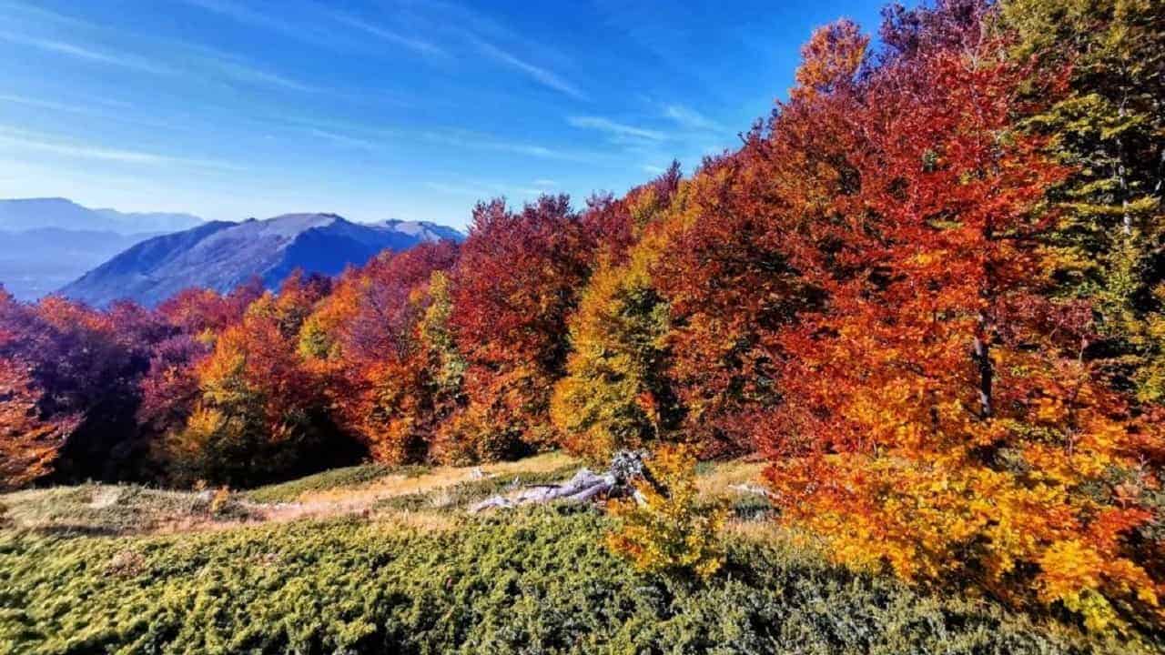 Giustizia Insieme, aggiunge la voce “Ambiente e sicurezza” 