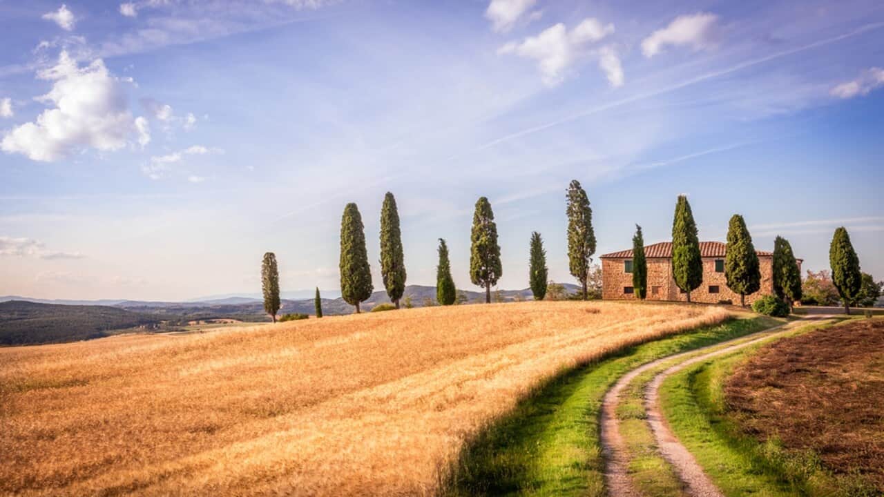 Ambiente e Costituzione