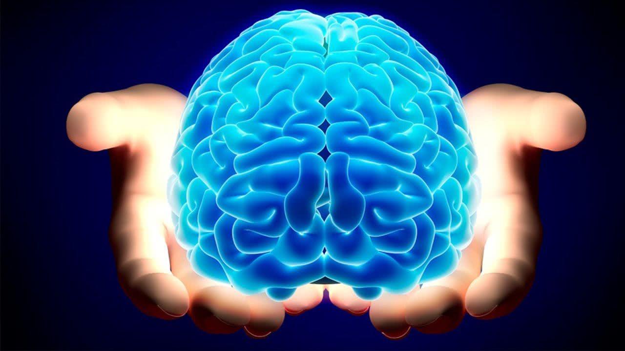 L'azione umana è veramente liberà? I dubbi delle neuroscienze