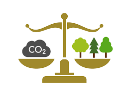 Qualche annotazione comparata sulla pronuncia di inammissibilità per difetto assoluto di giurisdizione nel primo caso di Climate Change Litigation in Italia