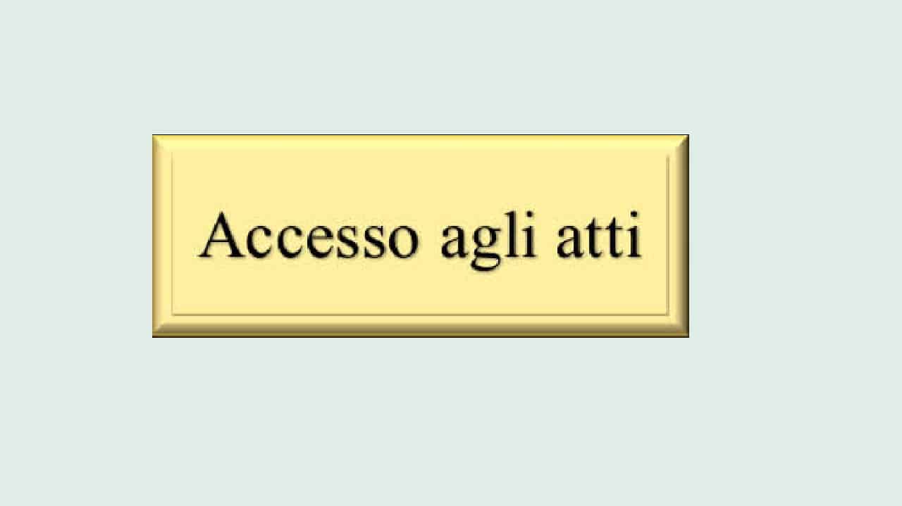 Strumentalità dell’accesso difensivo e sindacato giurisdizionale (nota a Consiglio di Stato, sez. III, 31 dicembre 2020, n. 8543)