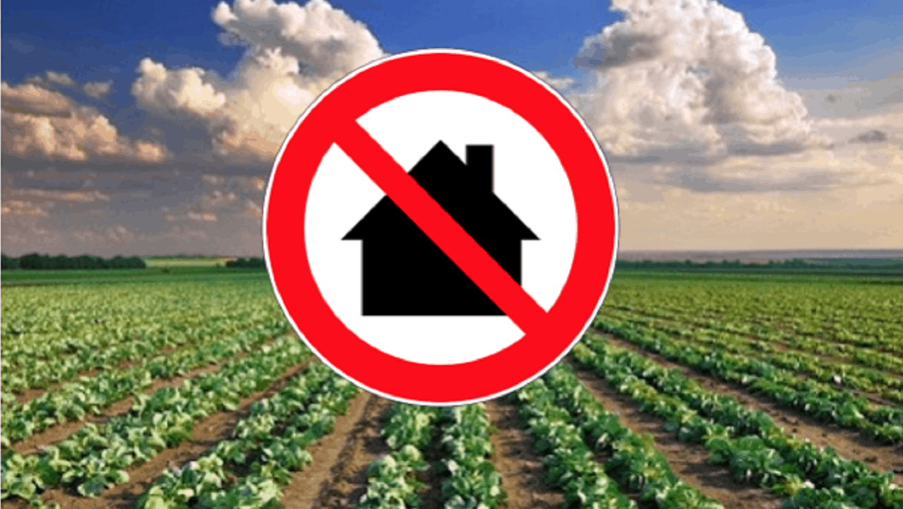 Consumo di suolo e divieto di edificazione in area agricola (nota a Tar Lombardia, Brescia, sez. I, 12 marzo 2021, n. 240)
