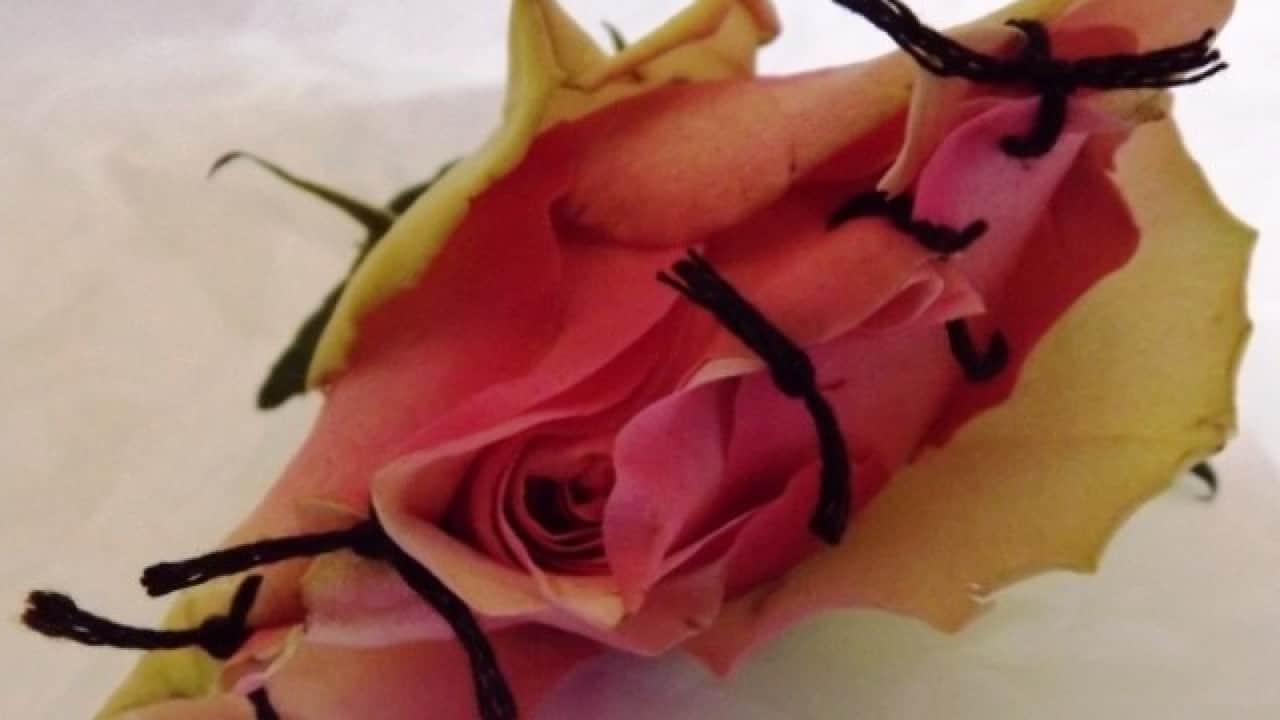 Mutilazioni genitali femminili (MGF) e riconoscimento dello status di rifugiato per appartenenza a particolare gruppo sociale