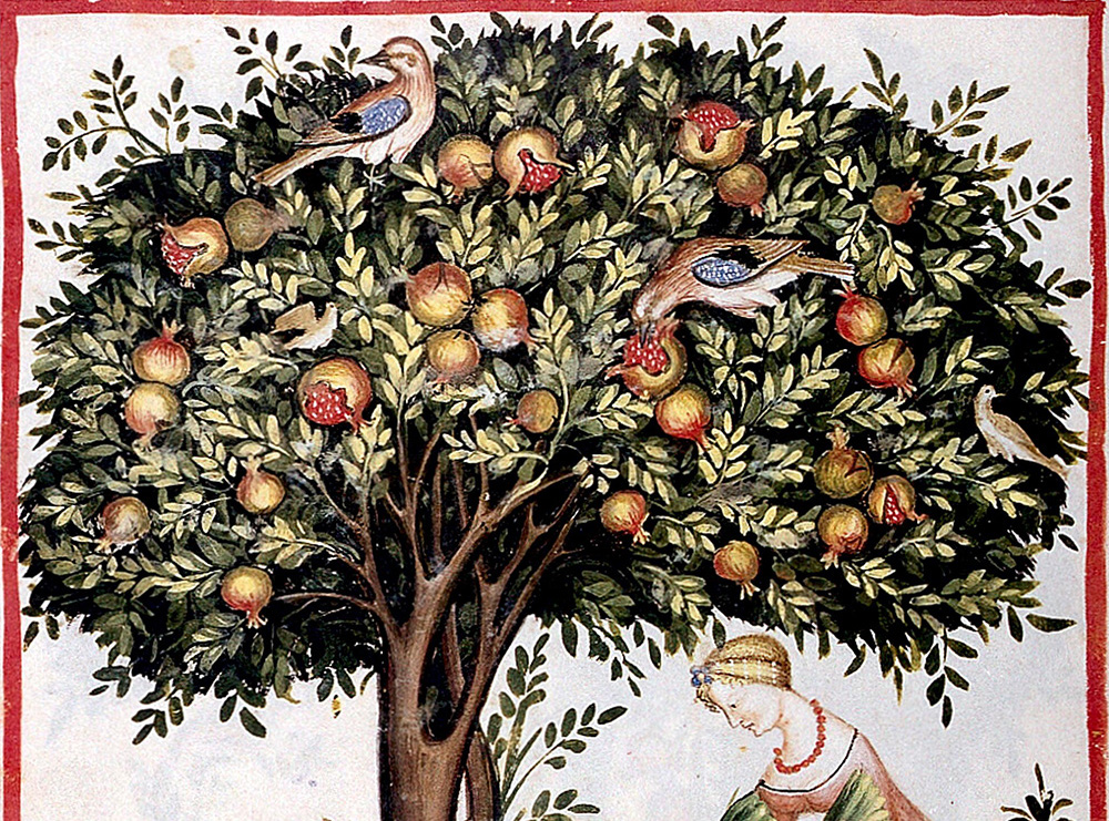 L’albero della verità