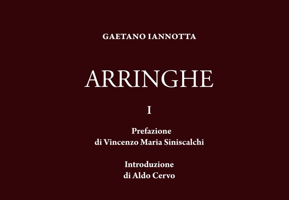 Arringhe di Gaetano Iannotta - recensione