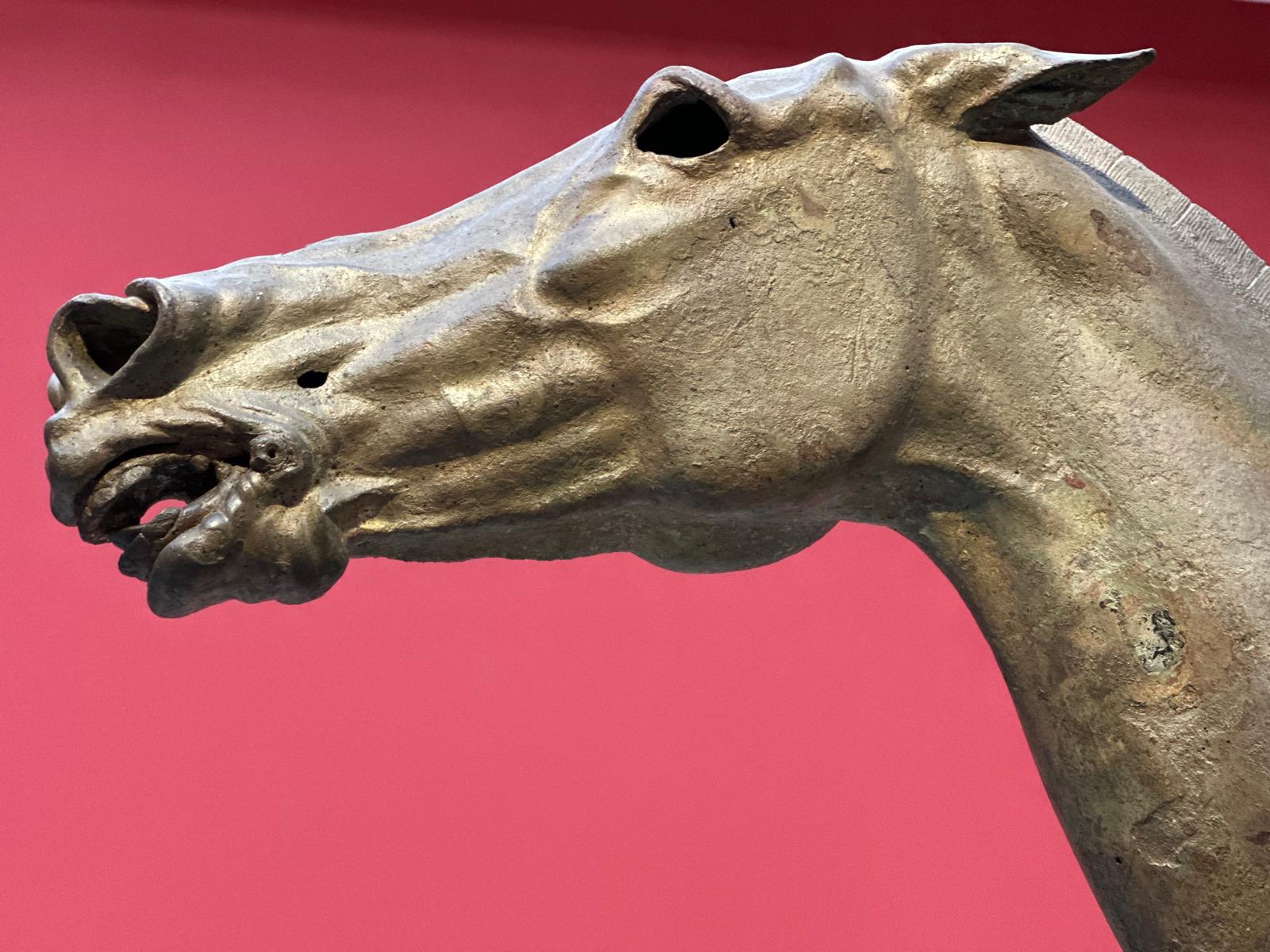 Un referendum su giustizia e potere