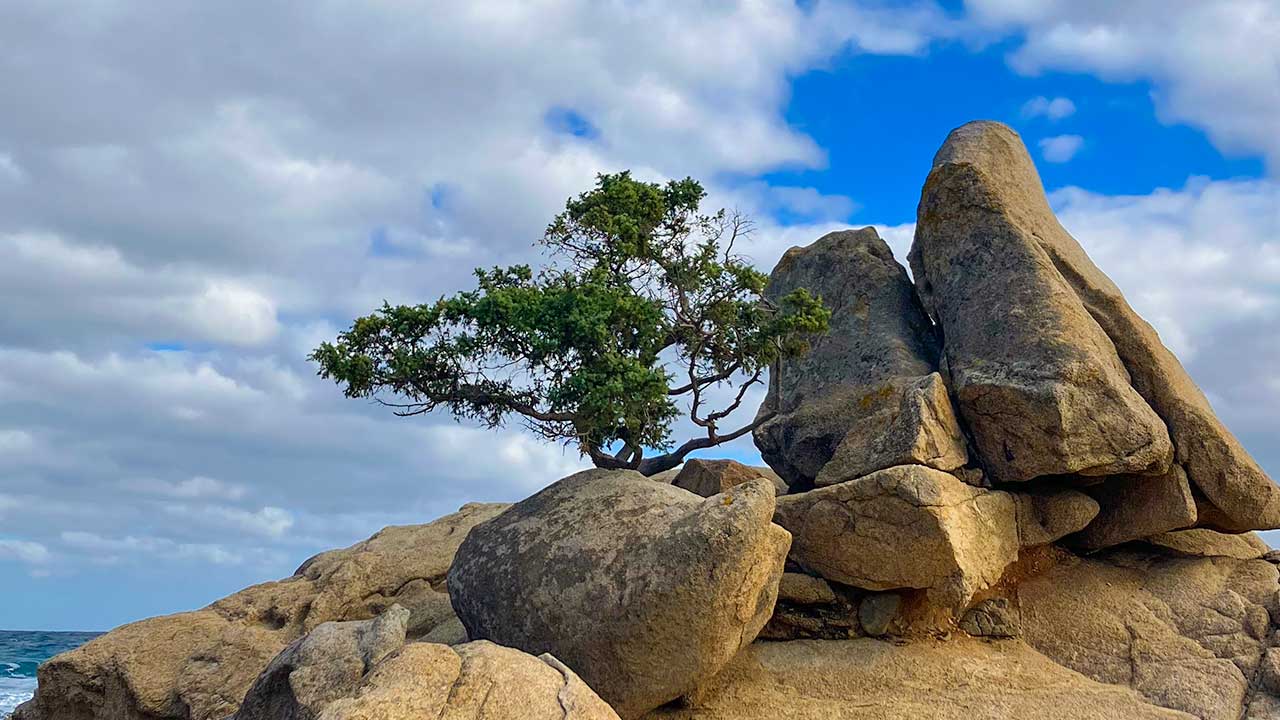 Il lascito della&nbsp;campagna referendaria