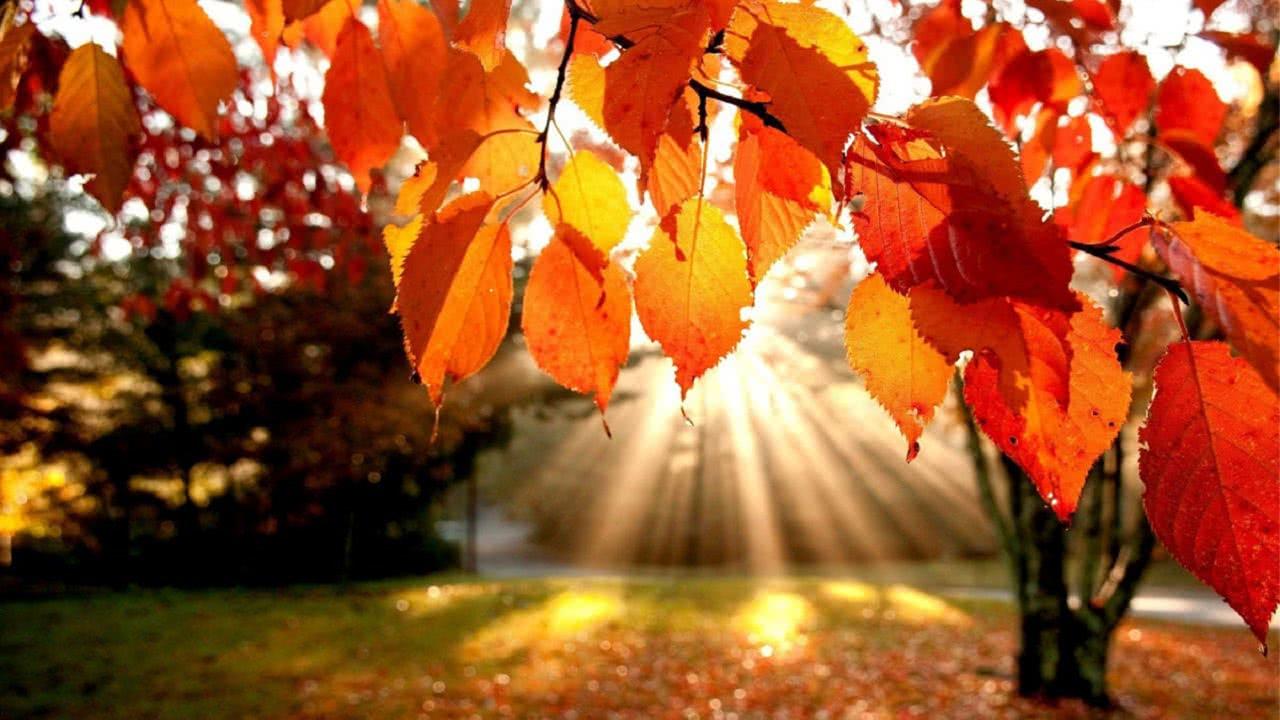 Il “caso Cappato” e le pratiche di suicidio assistito: tra libertà di autodeterminazione e tutela della vita