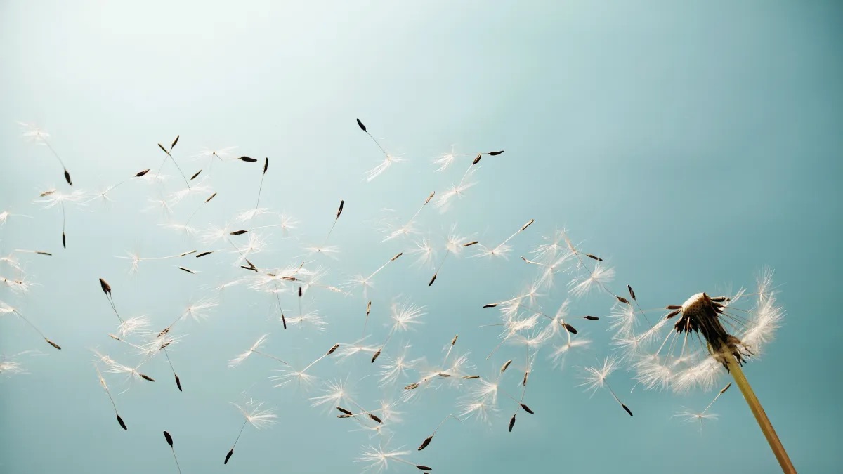 Il cammino incerto del diritto sul fine vita di Roberto Giovanni Conti