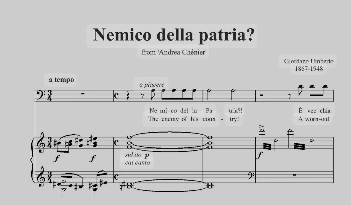 I giudici nemici della patria?