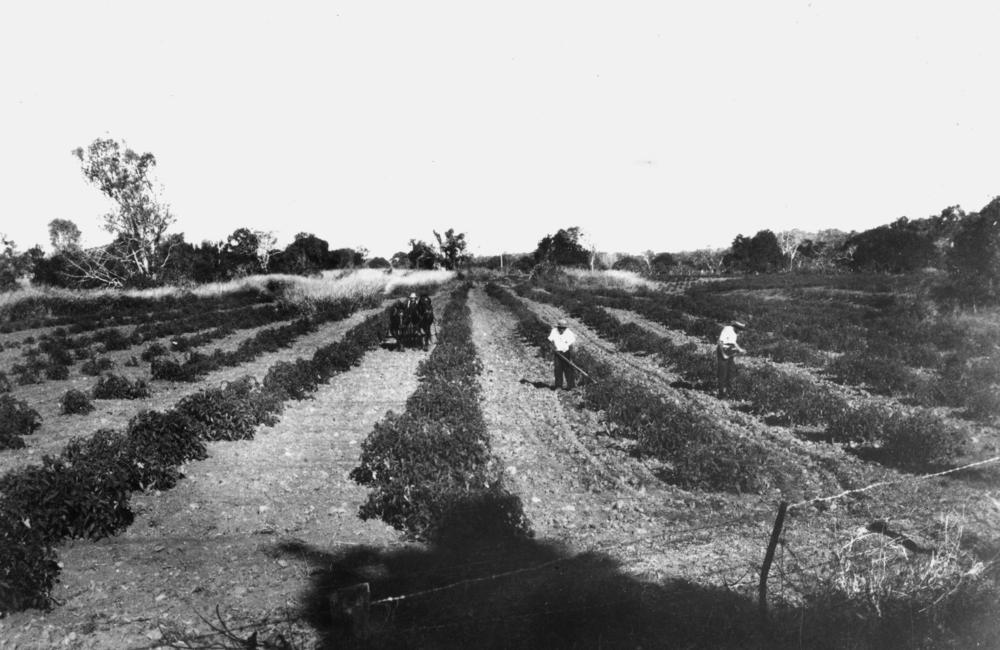 Esercizi sul sentimento del diritto: una giurista del lavoro al cospetto del lavoro povero e sfruttato. Per Satnam Singh